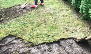 Снятие дерна старого газона в Братске – от 509 руб. | 2Землекопа-Брт
